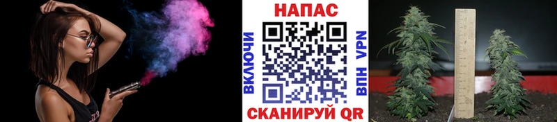 дарнет шоп  Галич  Бошки Шишки THC 21% 